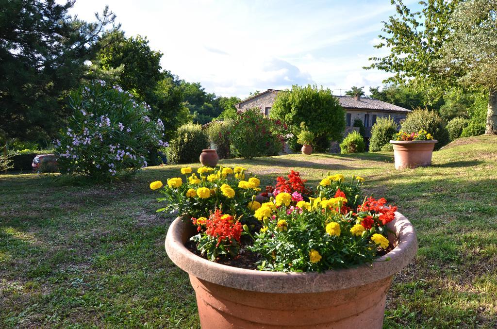 Agriturismo Il Cornalino Castel Viscardo Exterior photo